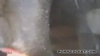 Гектор-3
